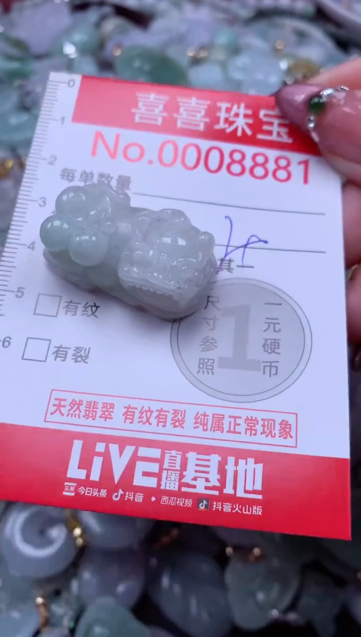 颈饰未镶嵌翡翠8881