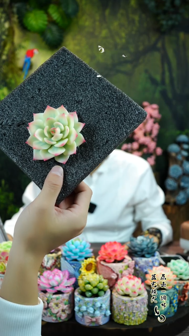 赫拉锦。。。。。。。。。。。。