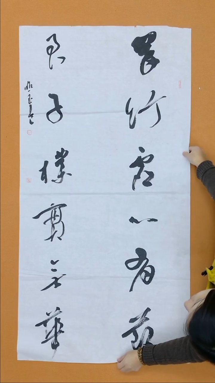 书法朗照玉 甘肃理S    138*68