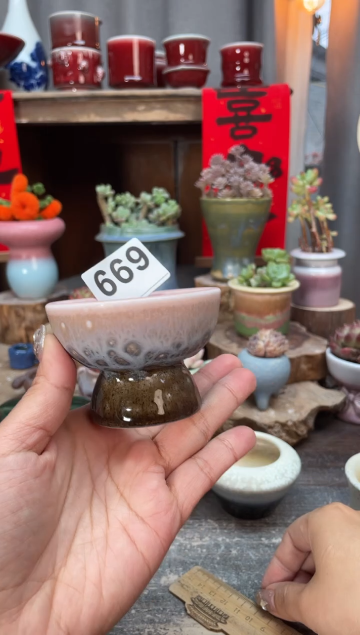 【闪购商品】摆件669知木小芳花盆