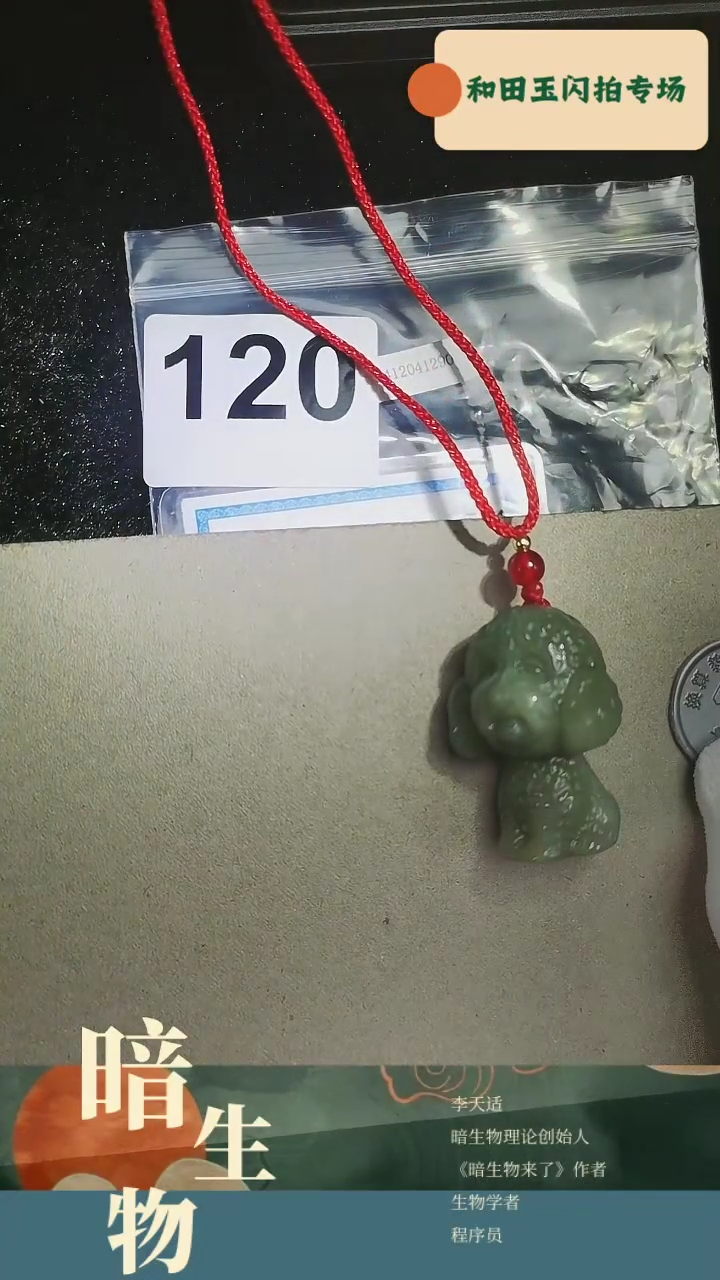 【闪购商品】和田玉吊坠(赠链)未镶嵌120