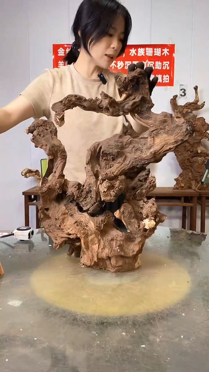 香榧木金丝红木  羊蹄甲