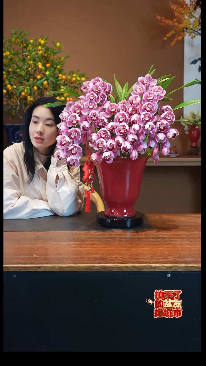 全部花朵红唇盆景盆景盆景