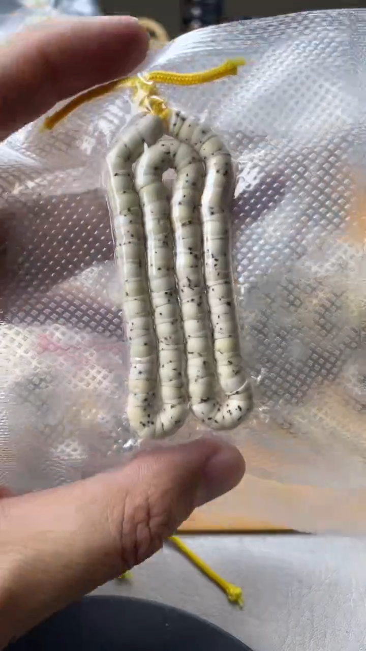 【闪购商品】星月菩提手串石玉料骨瓷白数星星(4-6颗星，微氧化）