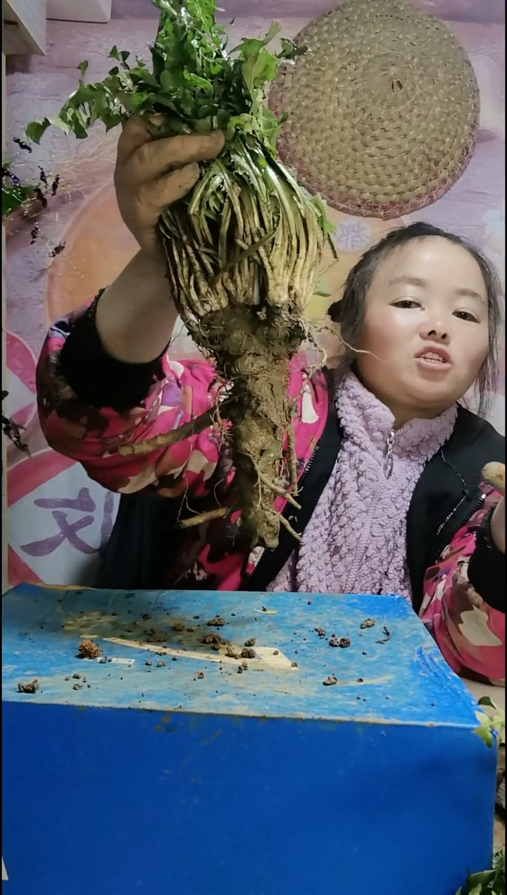 少量花朵（建议范围：2朵-5朵 或40%以下）@****?蒲公英