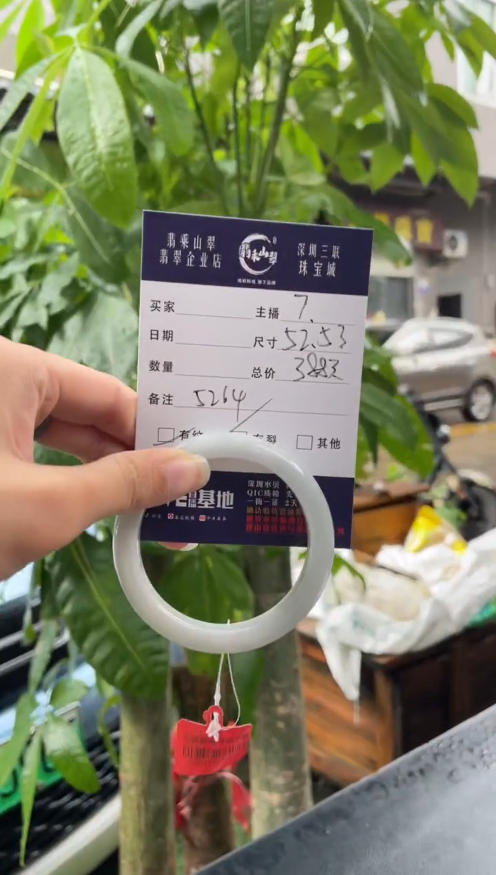 未镶嵌手镯翡翠Q 52正圈 5264
