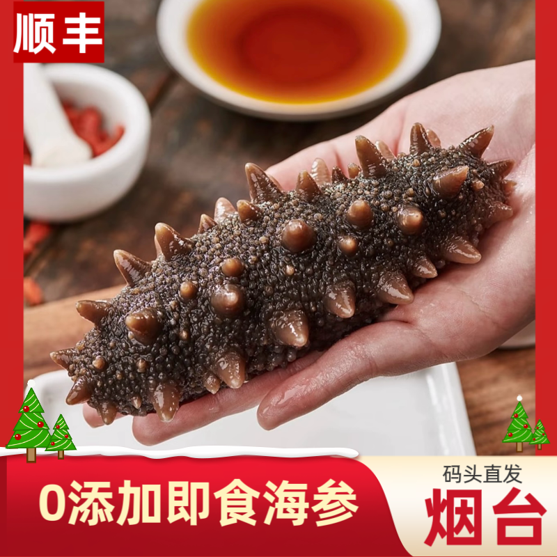 鲜食海参6头/斤烟台正宗即食海参 码头直发 速冻顺丰包邮