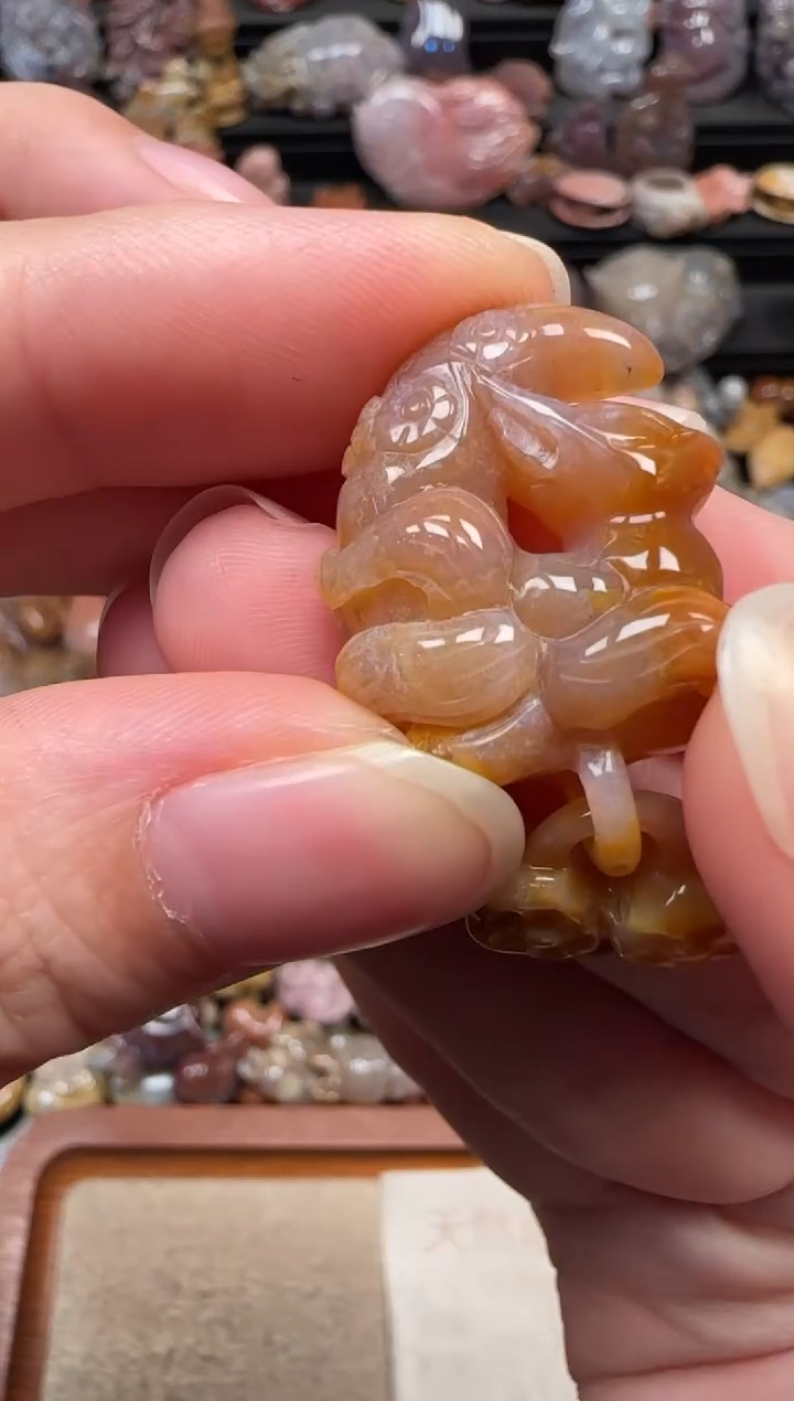 颈饰未镶嵌硅化珊瑚（珊瑚玉）695