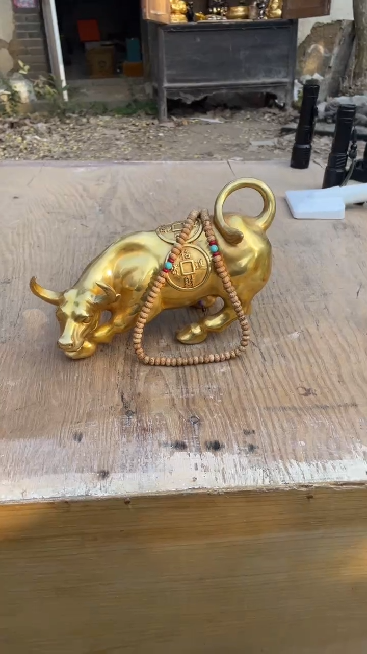 【闪购商品】菩提根/象牙果把件精品好物 好物菩提