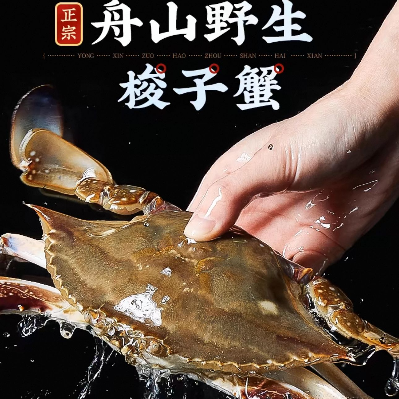 舟山野生梭子蟹 肉母蟹 3-4两/只 净重3斤/箱 共10只【冻蟹】