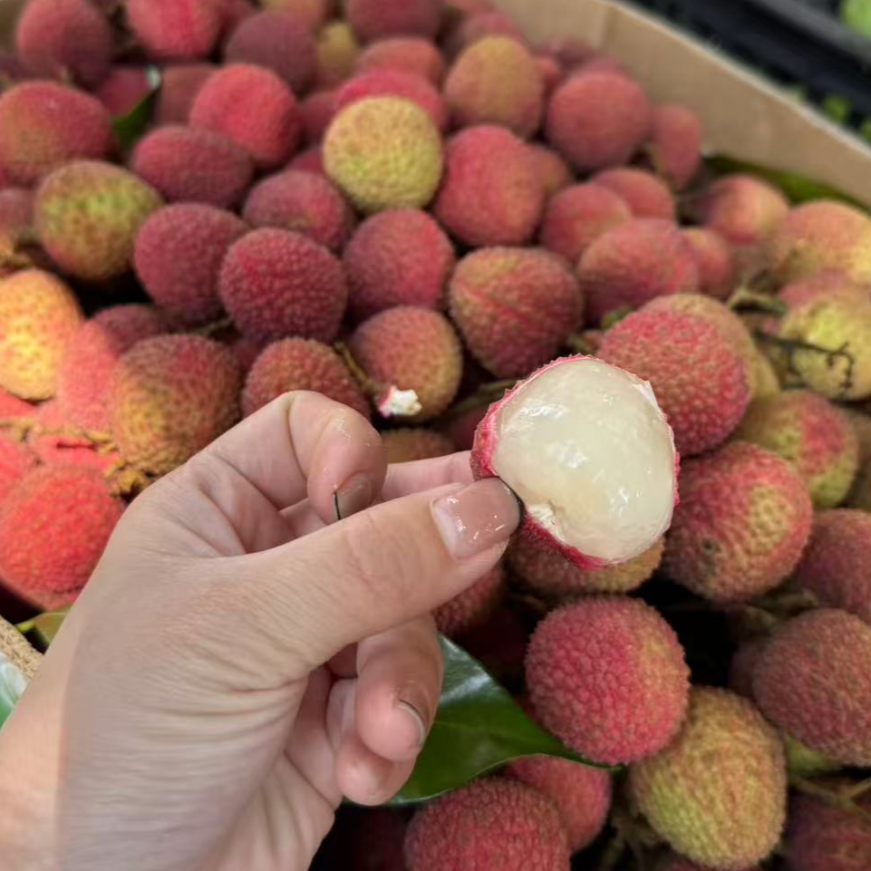 海南妃子笑荔枝1kg荔枝同城送新鲜云南省