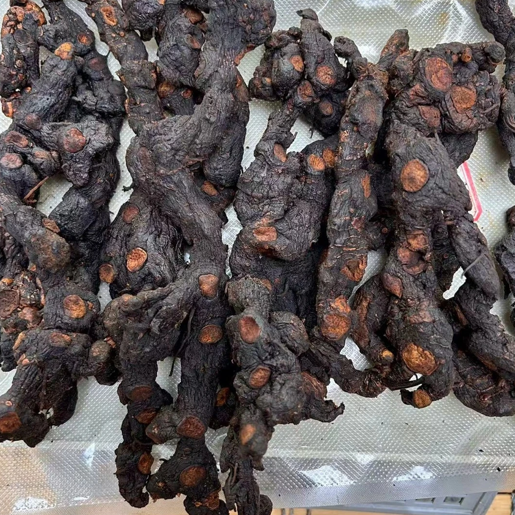 【土特产】云南大山下山货 农产品泡茶煲汤泡酒 搭配熟地黄更好 8