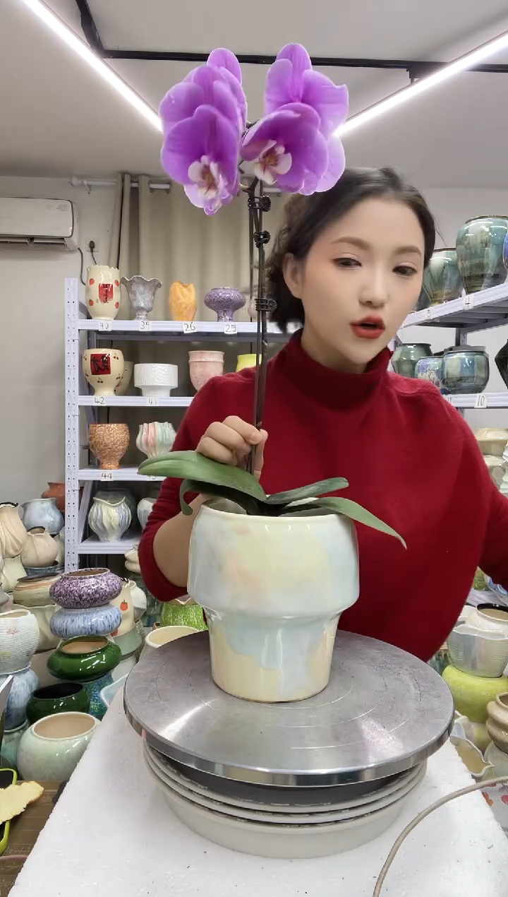 【1.3】花盆尺寸高：16 口：12