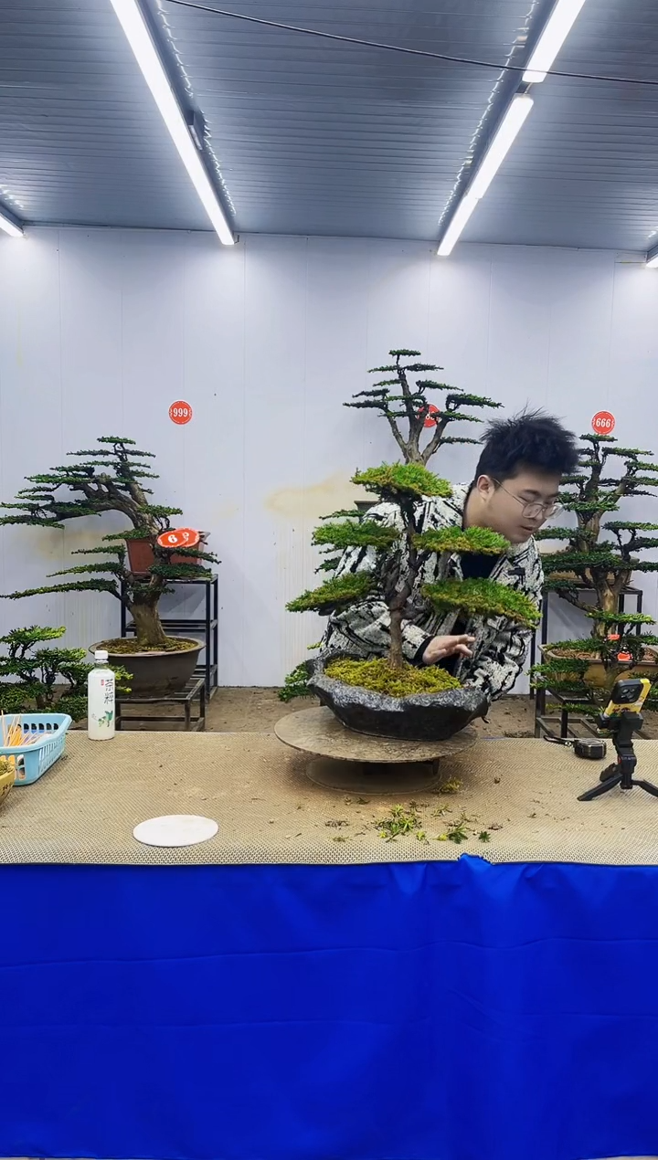 完全开放一物一拍，所见即所得