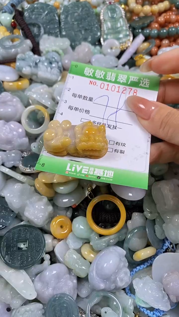 【闪购商品】翡翠颈饰未镶嵌闪购链接0101278