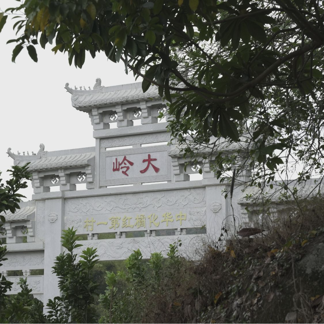 （直播间自定义链接）大岭村化橘红核心产地平定镇大岭村直发