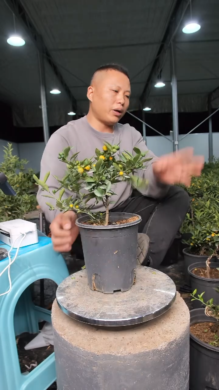 以实际为准1111111