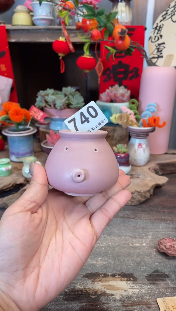 【闪购商品】摆件740小芳花盆直播编号