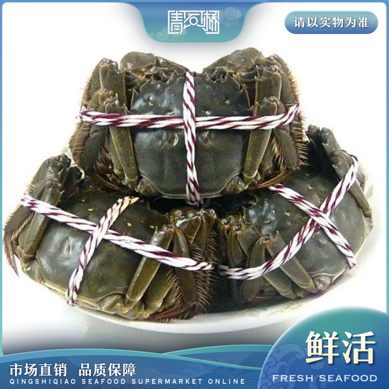 【活蟹】无品牌 江苏河蟹  公蟹 3两-5两 150g-250g±10g/只 1只装