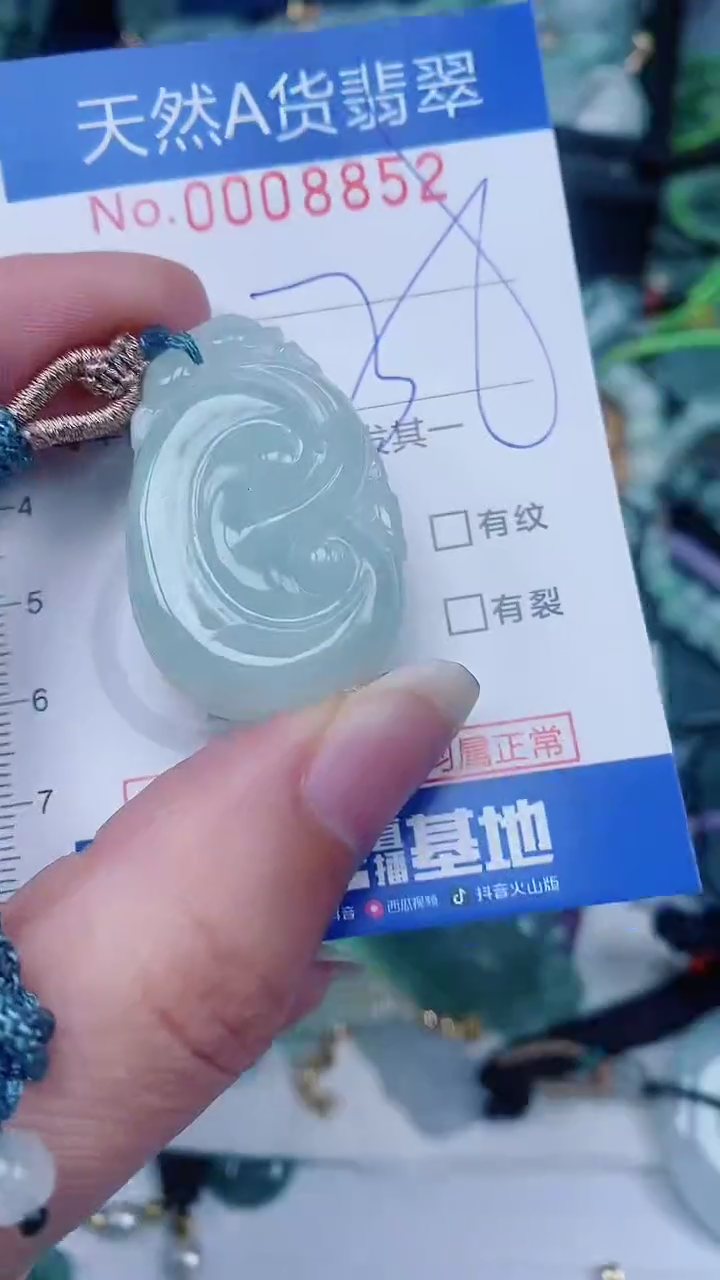 翡翠未镶嵌颈饰00008852