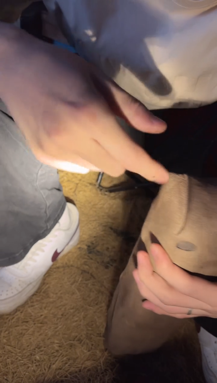 【闪购商品】【闪购商品】【闪购商品】唐