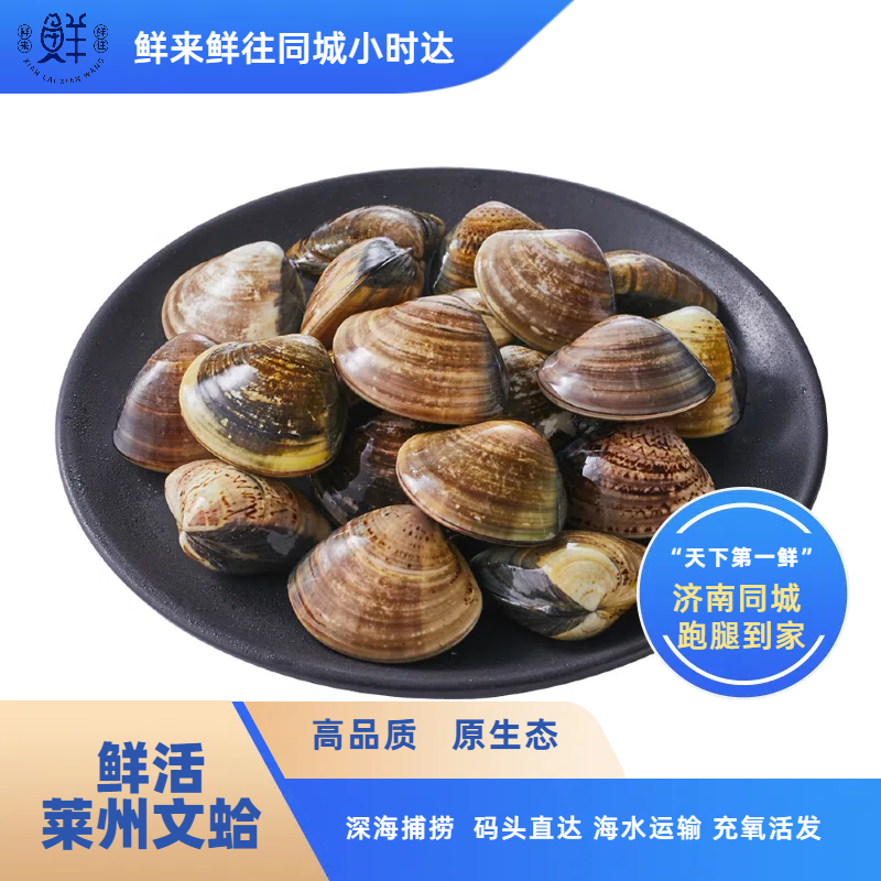 【鲜活】莱州文蛤 1斤（20个左右） 鲜嫩多汁莱州四大鲜之一