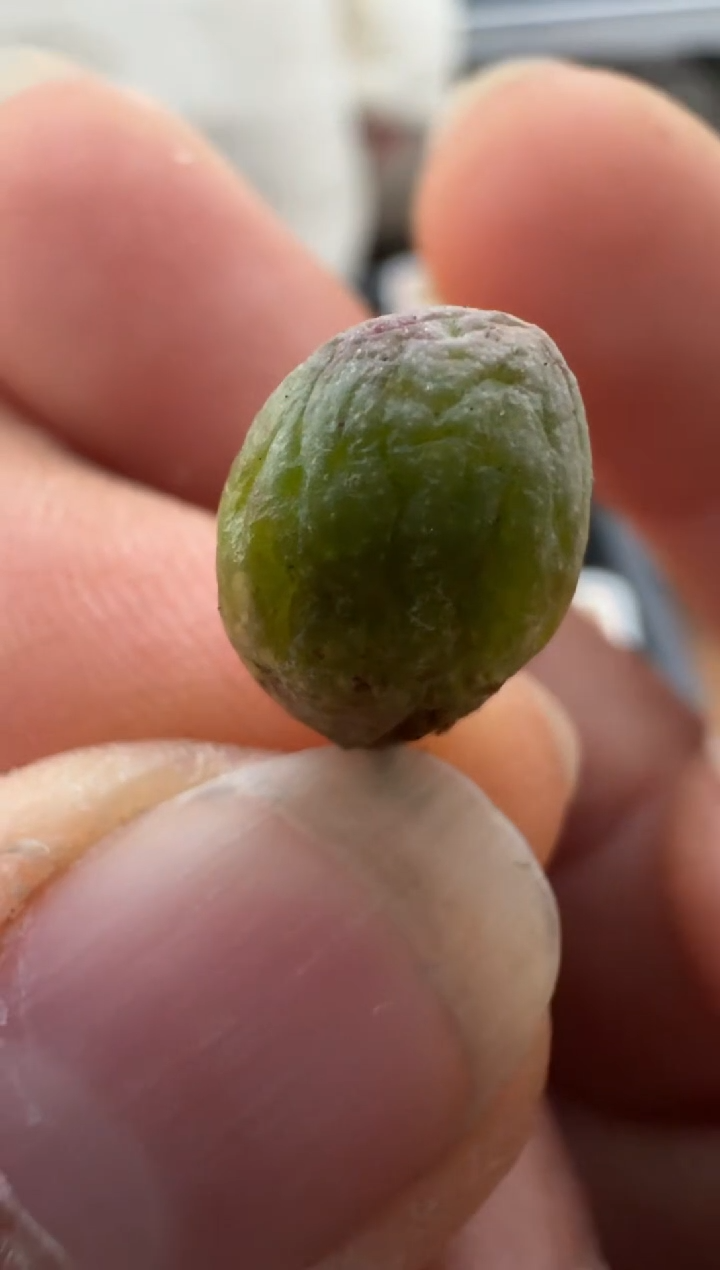 【闪购商品】2.5-303