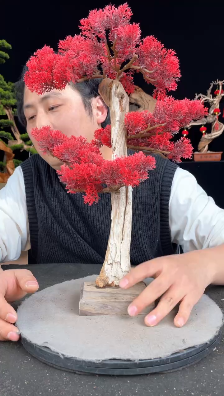 【闪购商品】柏木（崖柏）其他手工摆件,先抢先得!