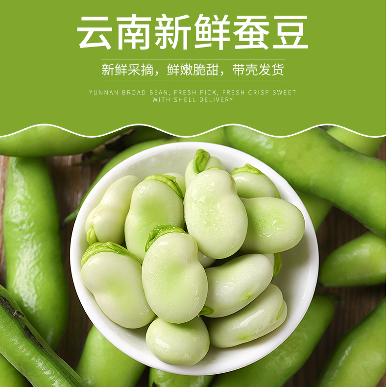云南新鲜蚕豆农家带壳本地蚕豆