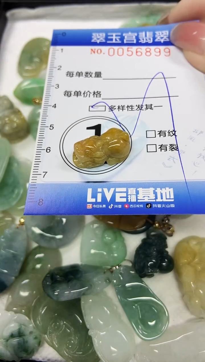 【闪购商品】翡翠颈饰未镶嵌闪购商品0056899