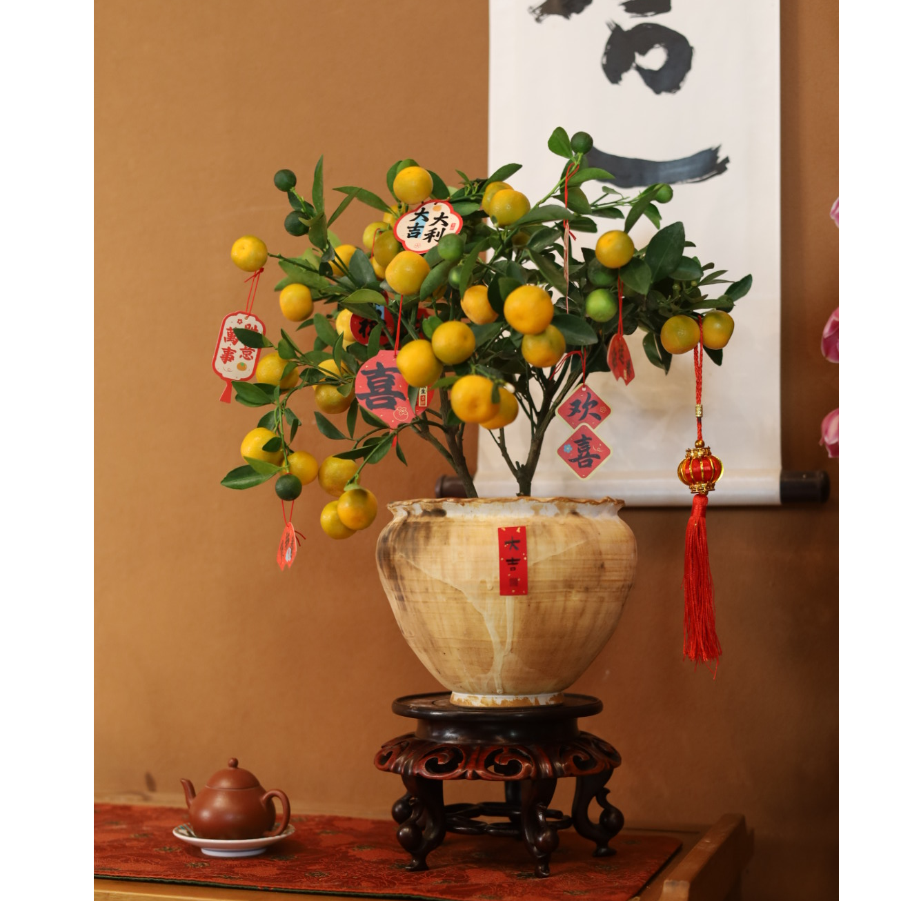 【美美精选】小金橘/精选盆景