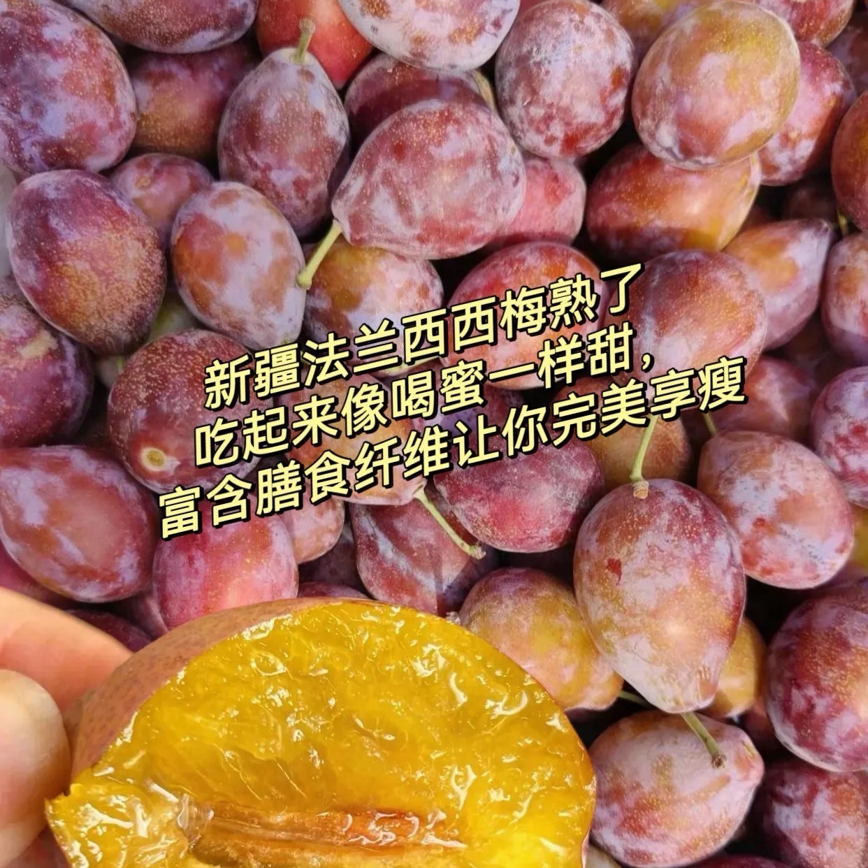 《顺丰包邮》新疆法兰西西梅水果