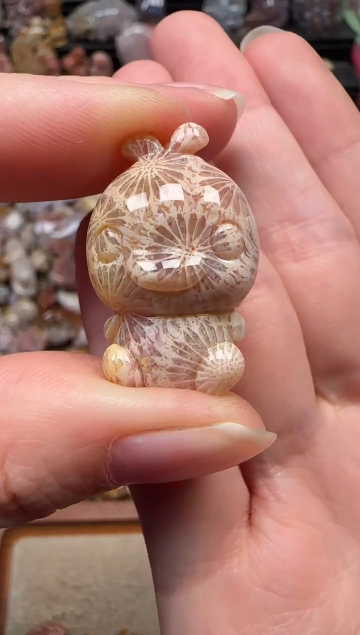 颈饰未镶嵌硅化珊瑚（珊瑚玉）609