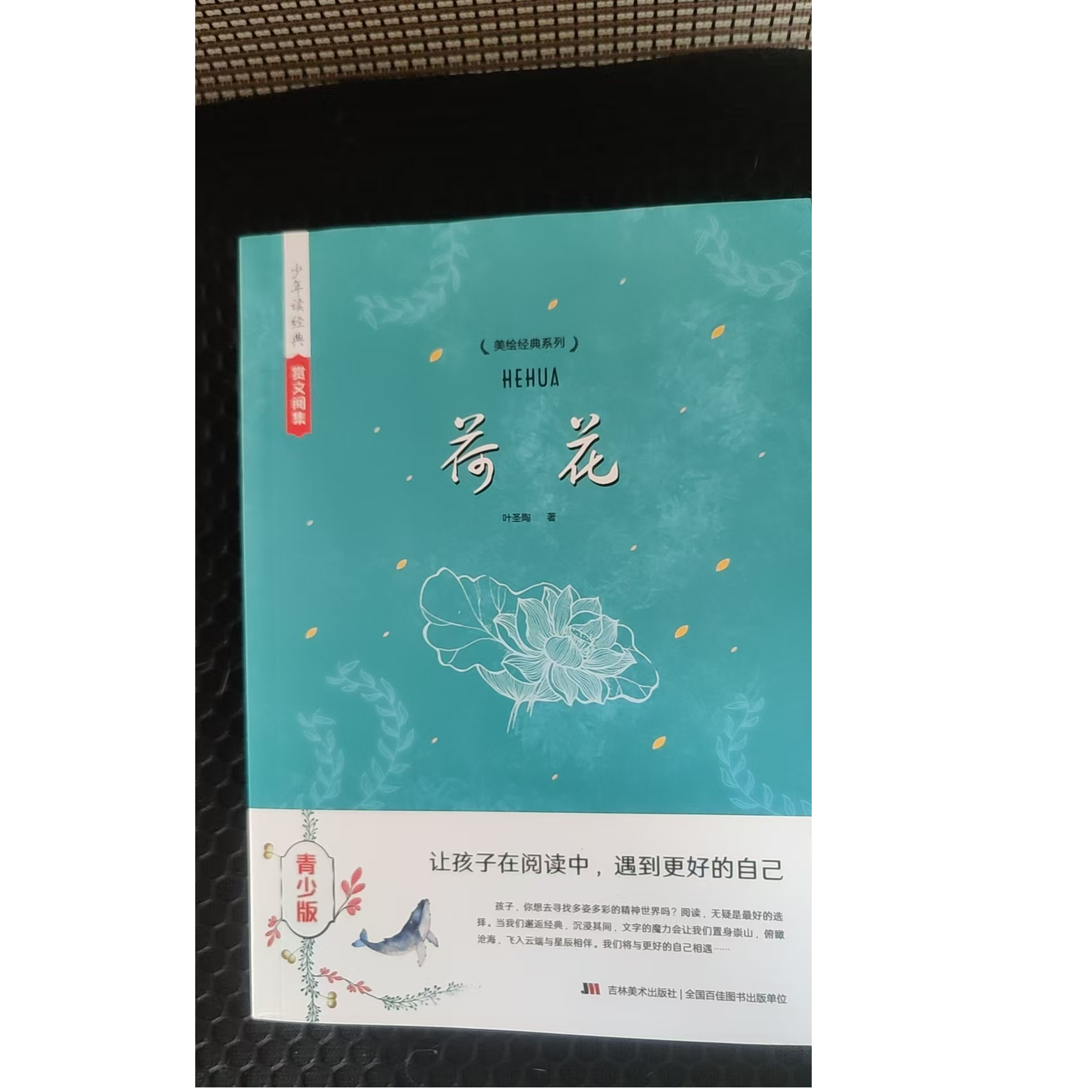 作品   荷花  荷塘月色正版书籍