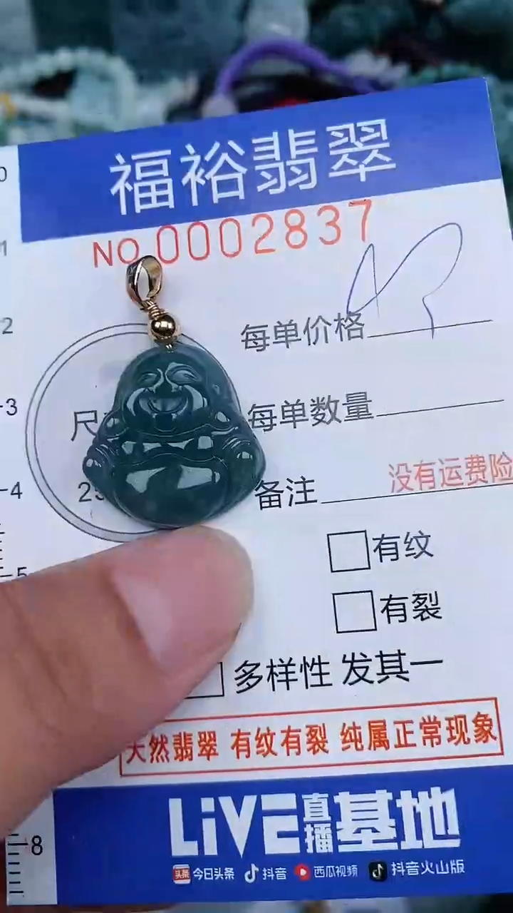 翡翠未镶嵌颈饰...0002837