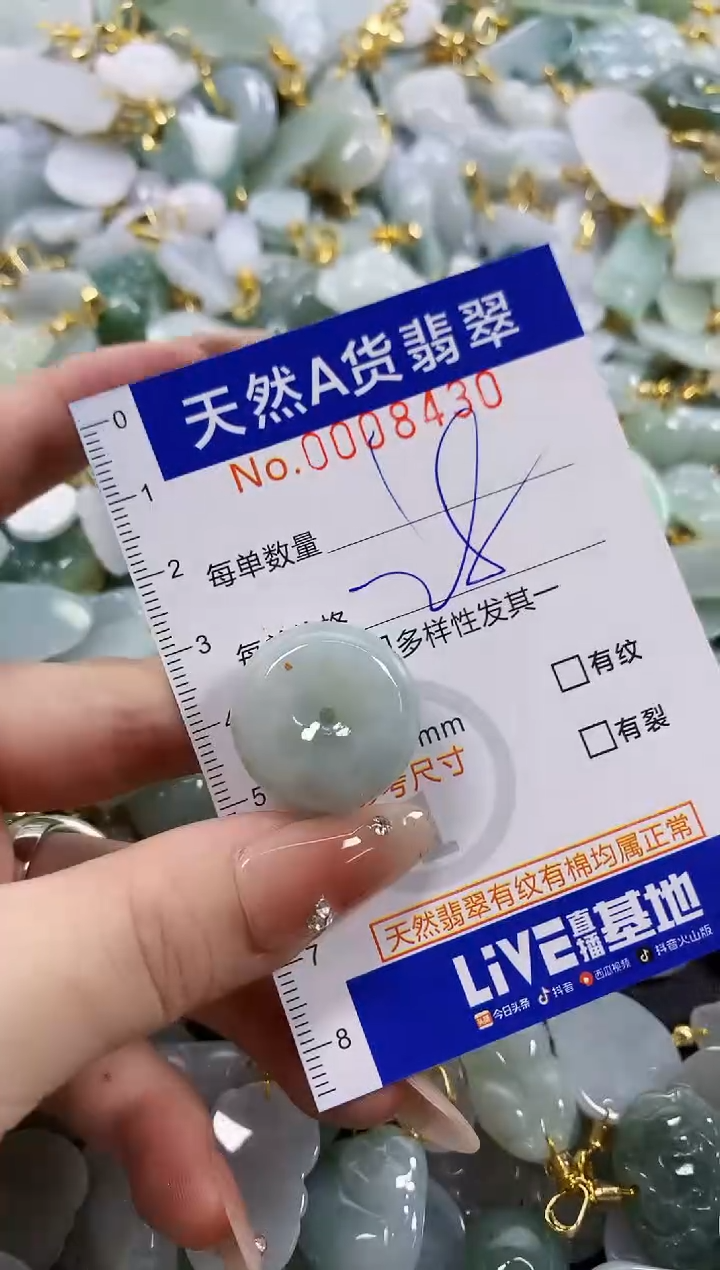 颈饰未镶嵌翡翠天然A货翡翠