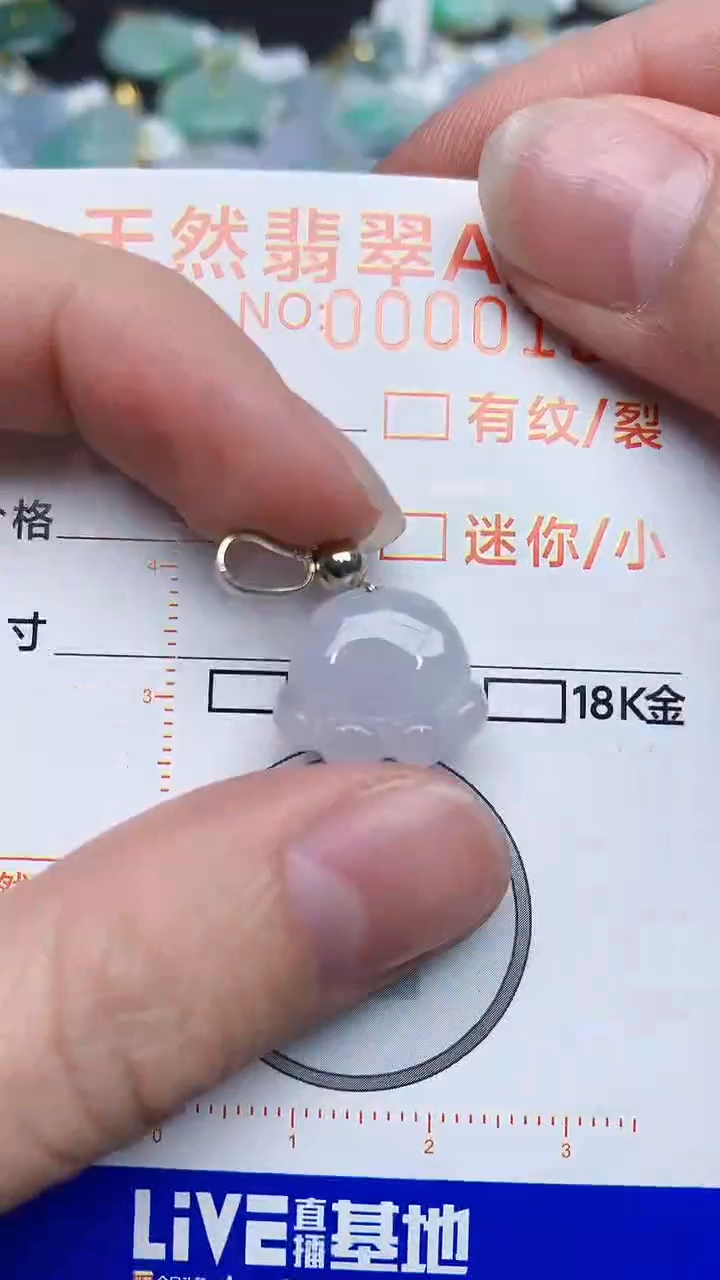 【闪购商品】翡翠颈饰未镶嵌453453453
