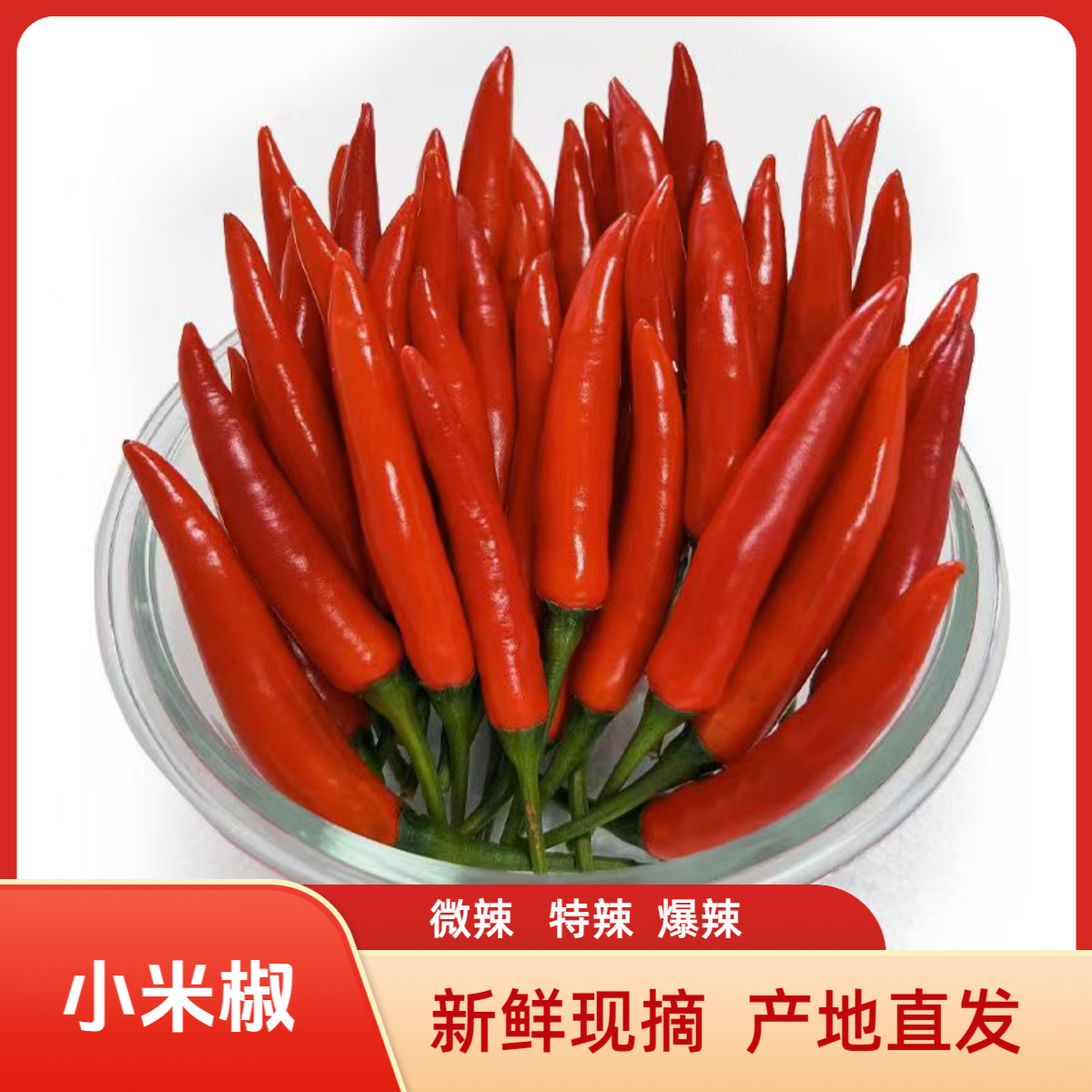 农家新鲜红辣椒小米辣椒鲜椒小辣椒现摘现发餐饮饭店专供