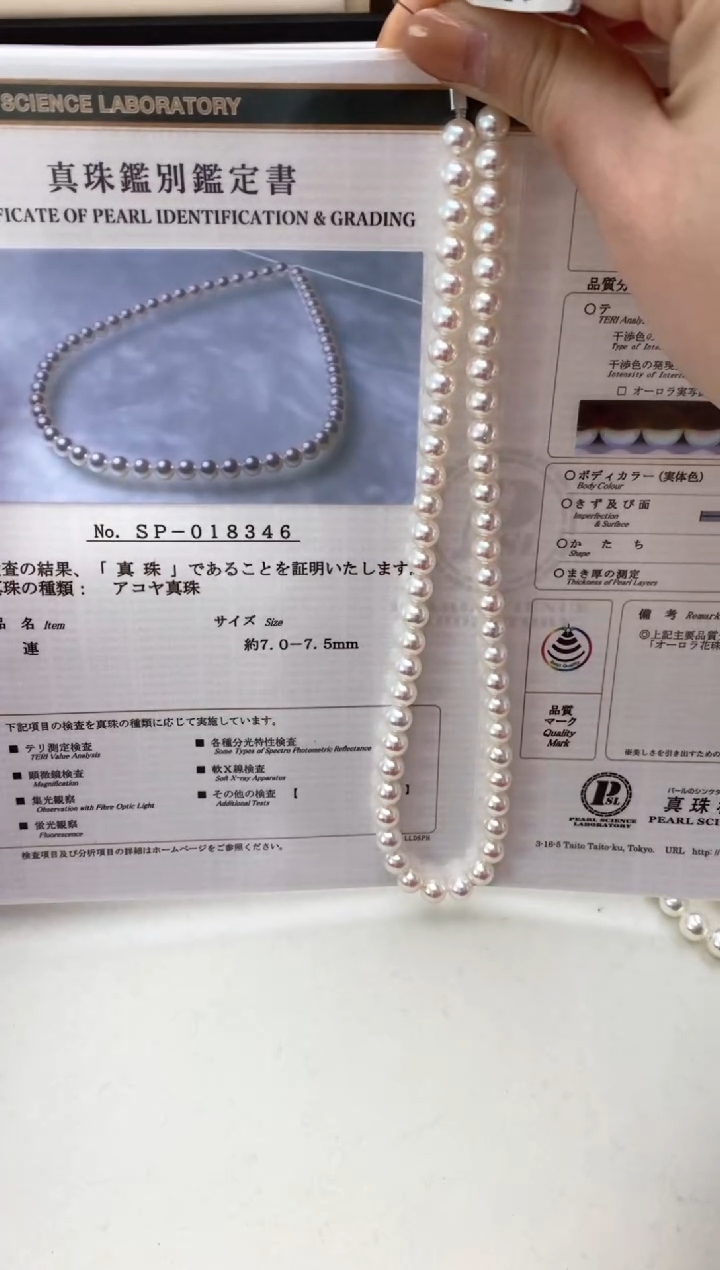 【闪购商品】海水珍珠耳钉未镶嵌7-7.5mm天女项链