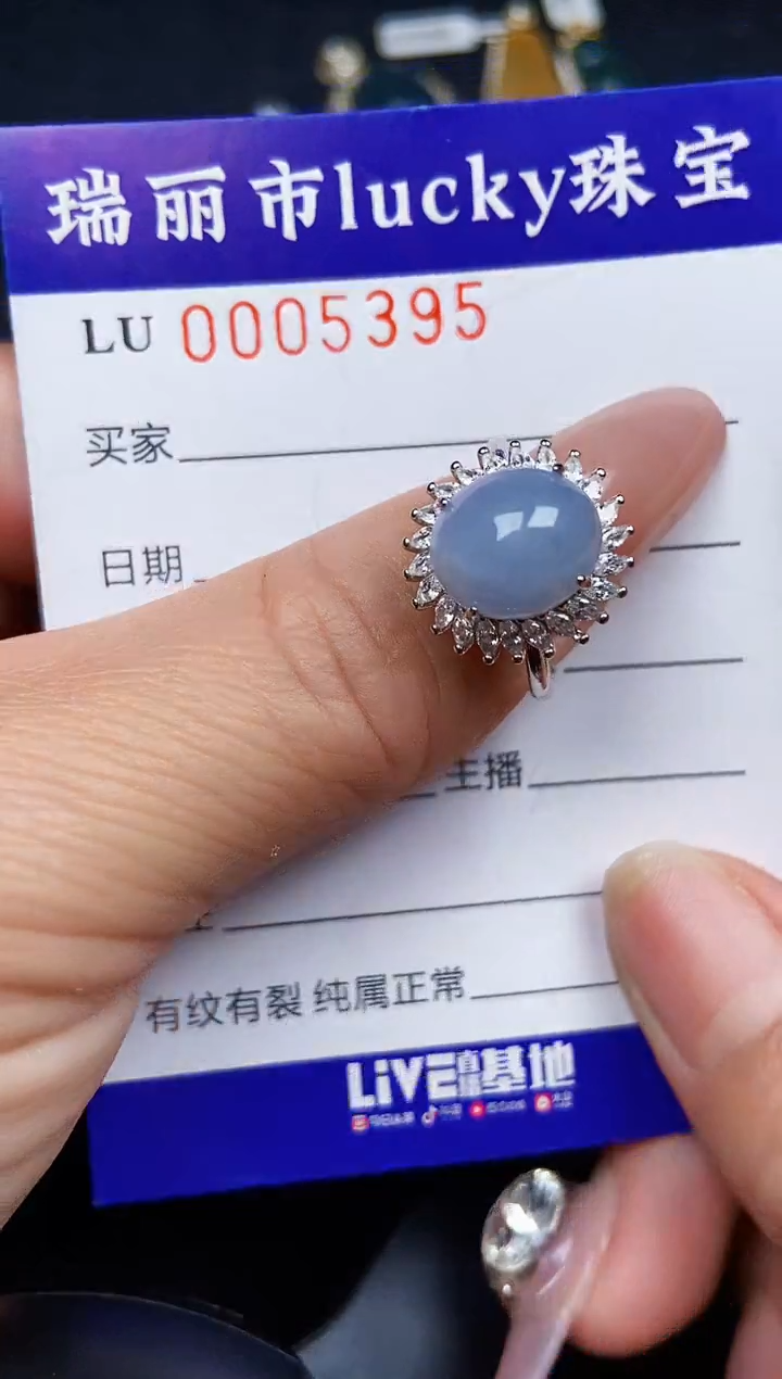 翡翠银S925镶嵌颈饰5395
