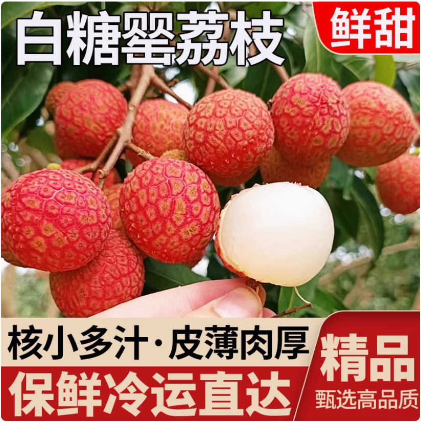 白糖罂新鲜荔枝现摘现发鲜荔枝当季大水果果王