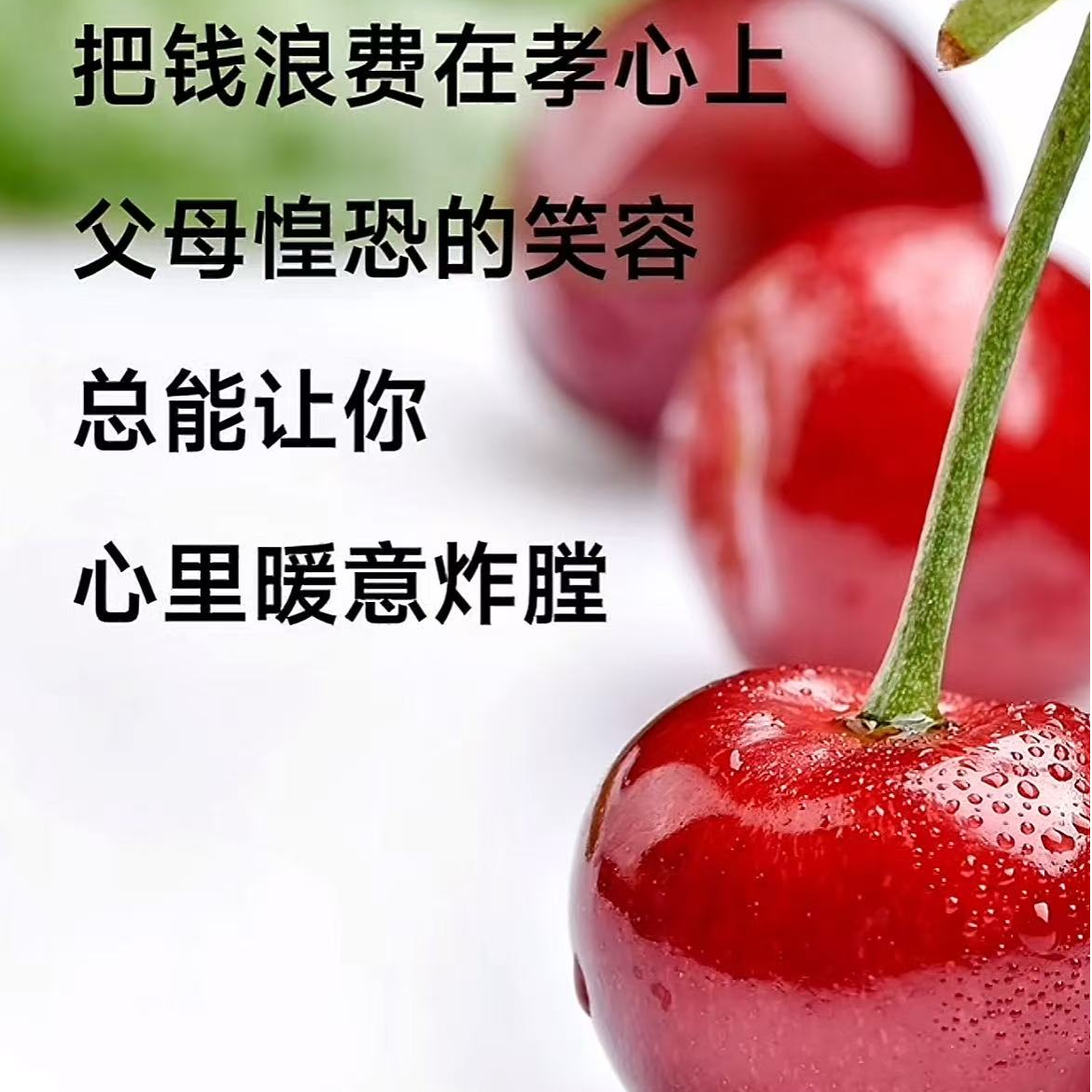JIU智利车厘子4J瑞吉纳5斤装原箱海运京东到家！ 内附果径卡