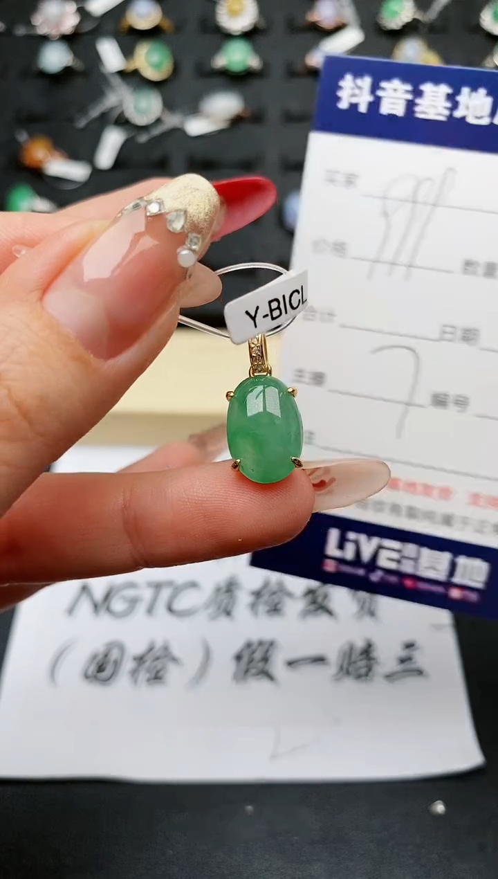 【闪购商品】翡翠颈饰银S925镶嵌...........