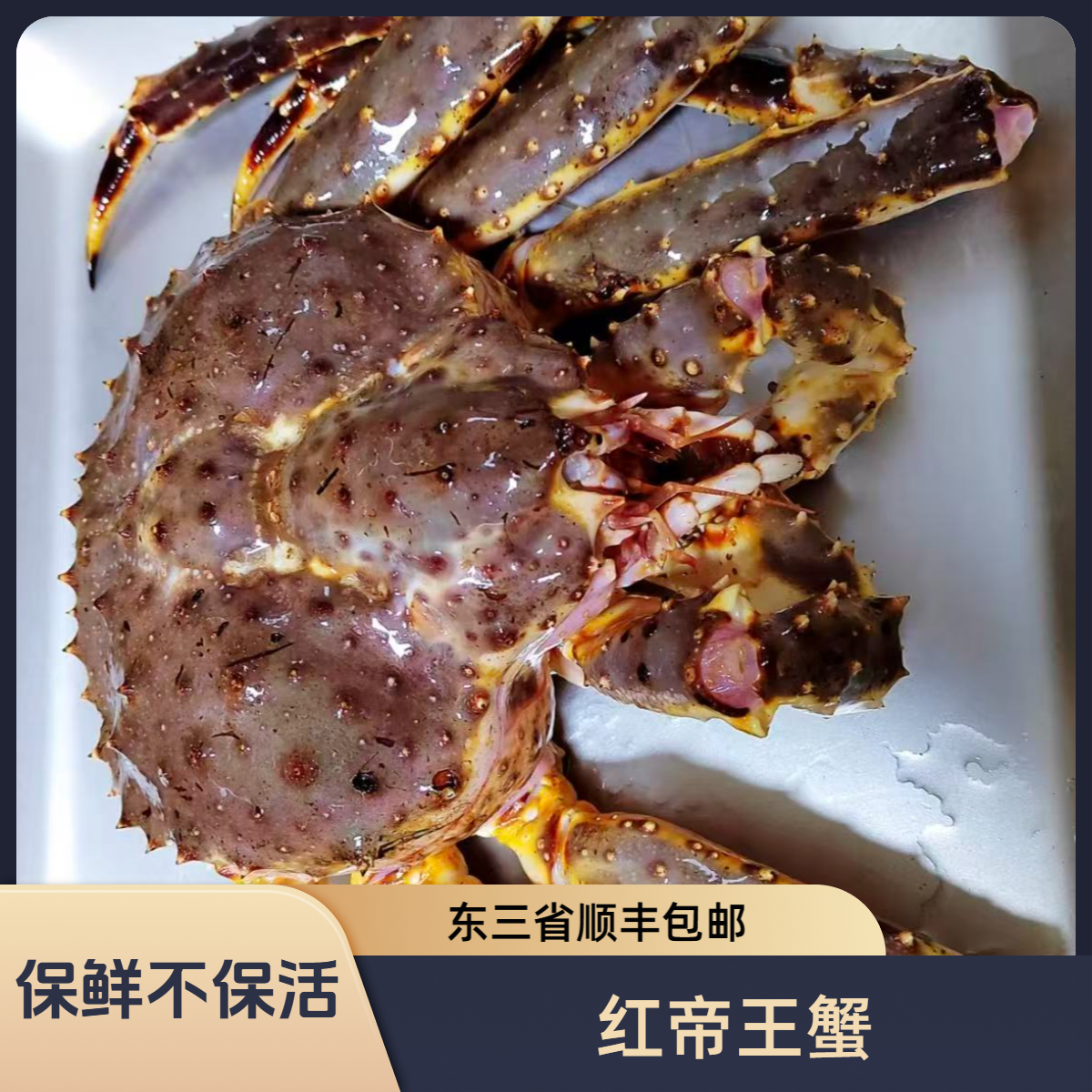 山水水产红帝王蟹（8%-10%）掉水/斤