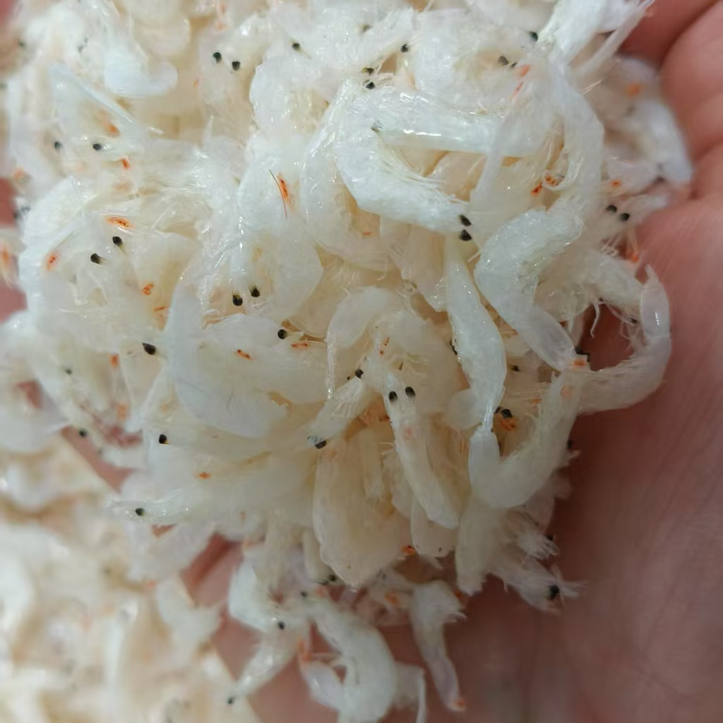 新货大虾皮生晒干货海米