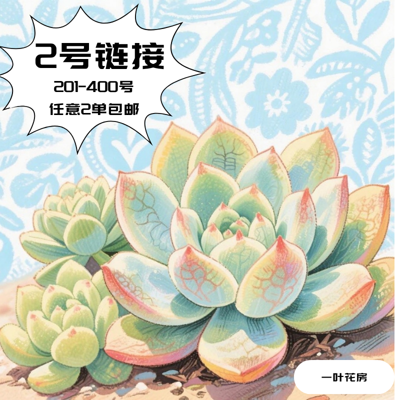 杠精2号链接201-400直播间多肉一物一拍2单包邮9月6日