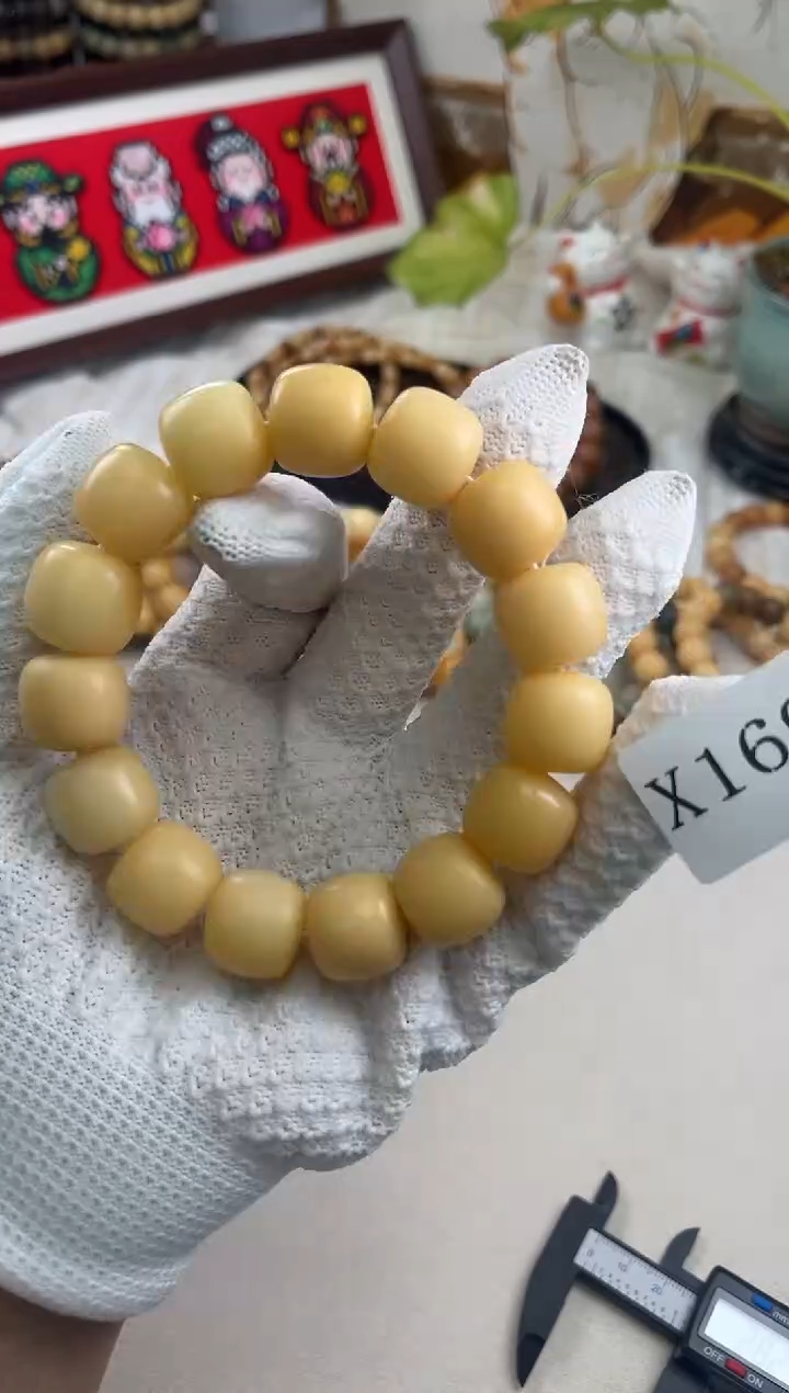 手串菩提根/象牙果x169 卡17 干磨天然落地果微瑕