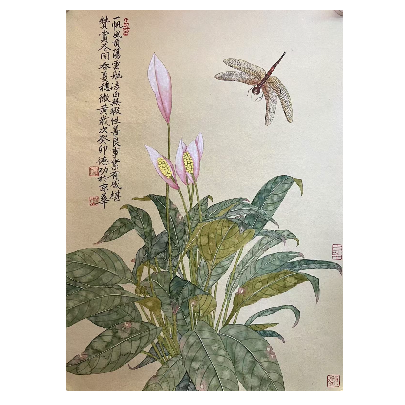 李老师花鸟国画作品