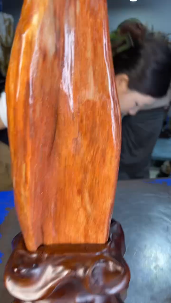 未镶嵌摆件硅化玉39