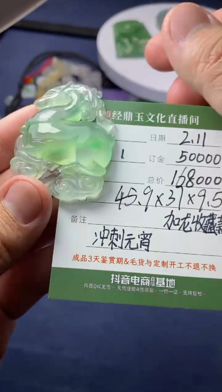 【闪购商品】翡翠颈饰未镶嵌订金